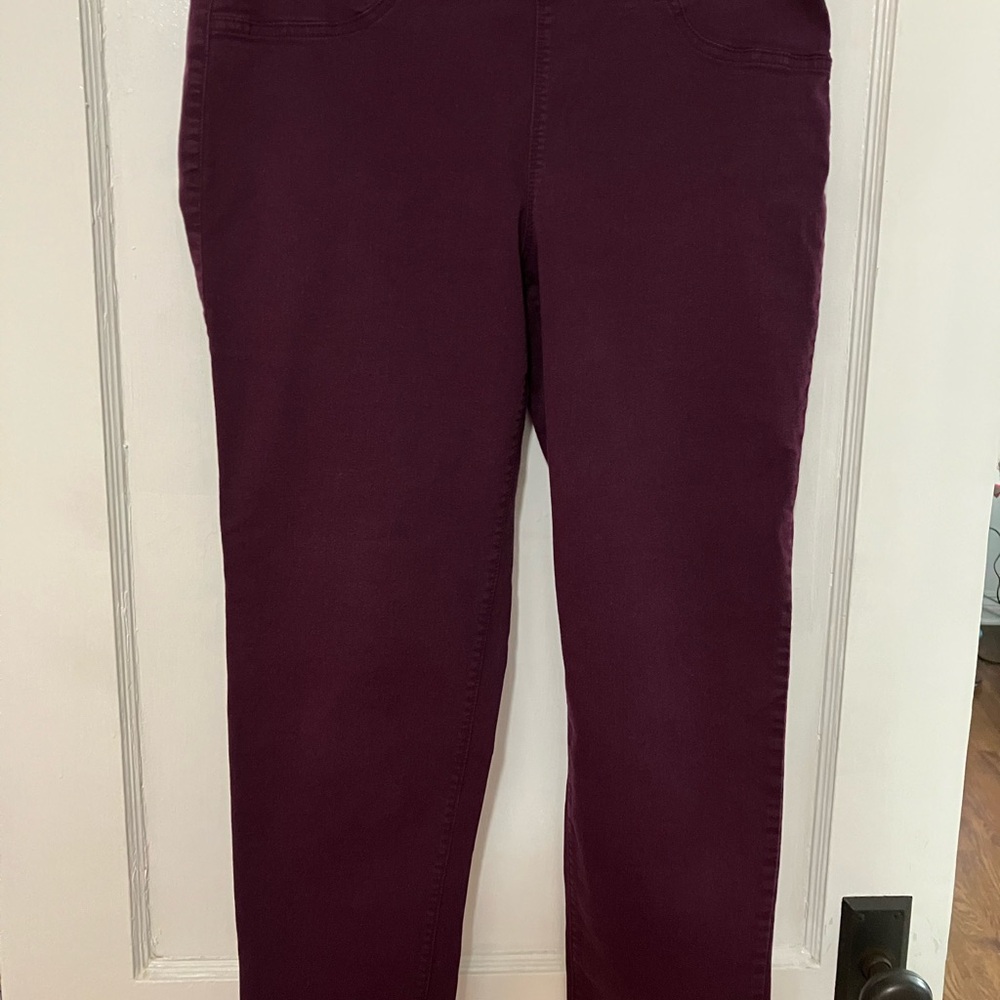 Orvis Deep Purple Pull on Skinny Pants size 10